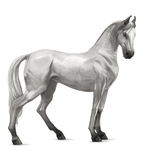 caballo de montar cuarto de milla gris claro