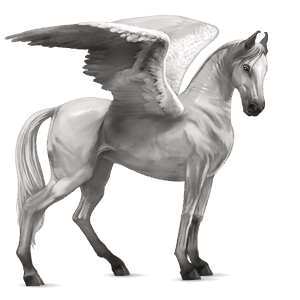 pegaso de montar marwary gris claro