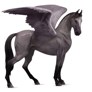 pegaso de montar gris ratón