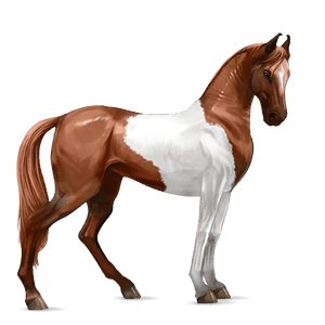 caballo de montar cuarto de milla alazán