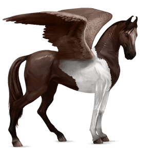 pegaso de montar pura raza española gris claro