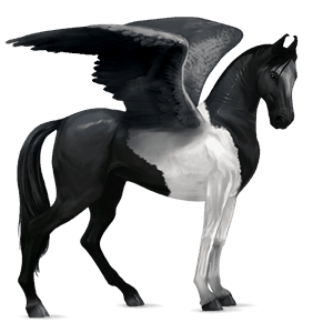 pegaso de montar pura raza española bayo