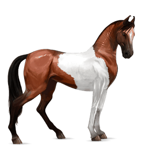 caballo de montar tennessee walker bayo