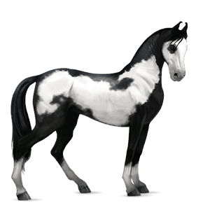caballo de montar lusitano bayo tostado