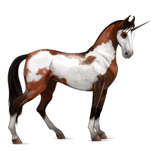 unicornio de montar marwary pío overo bayo cereza