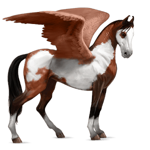 pegaso de montar peruano de paso bayo tostado