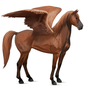pegaso de montar pura sangre bayo tostado