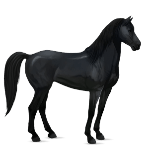 caballo de montar mustang negro