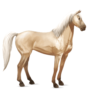 caballo de montar lusitano palomino