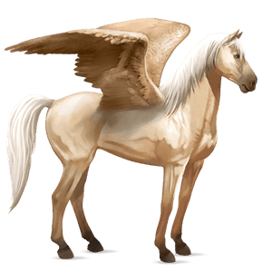 pegaso de montar pura raza española gris tordo