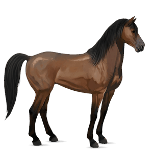 caballo de montar lusitano bayo