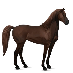 caballo de montar lusitano bayo tostado