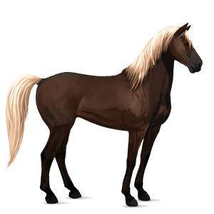 caballo de montar pura raza española bayo