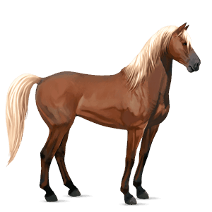 caballo de montar mustang bayo cereza