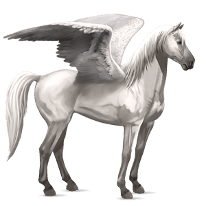 pegaso de montar gris claro