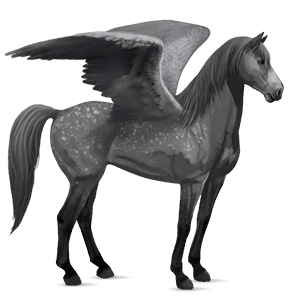 pegaso de montar mustang gris tordo