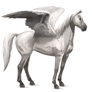 pegaso de montar pura raza española alazán tostado