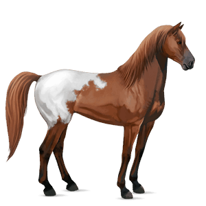 caballo de montar mustang blanket alazán