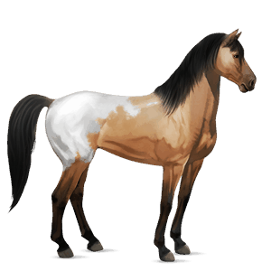 caballo de montar mustang blanket isabelo