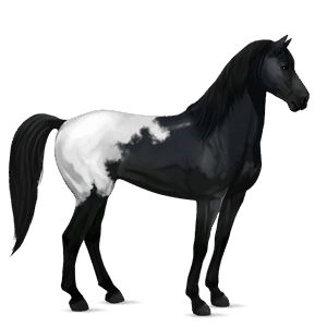 caballo de montar tennessee walker bayo tostado