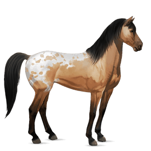 caballo de montar tennessee walker bayo