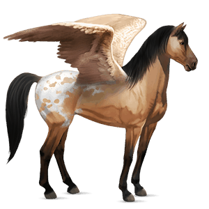 pegaso de montar peruano de paso alazán tostado