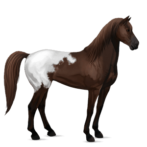 caballo de montar lusitano bayo