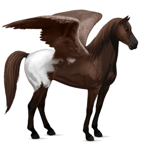 pegaso de montar berberisco alazán