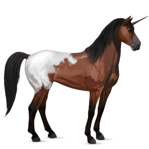 unicornio de montar pura raza española gris tordo