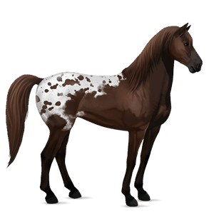 caballo de montar mustang bayo tostado