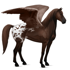 pegaso de montar pinto pío tobiano bayo