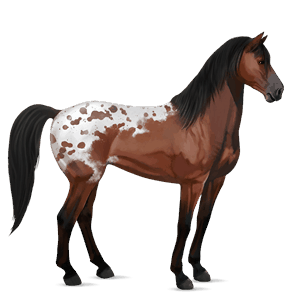 caballo de montar mustang cereza moteado