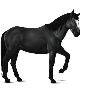 caballo de montar gris ratón