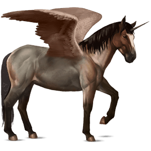 unicornio de montar alado kwpn bayo