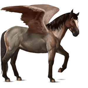 pegaso de montar bayo cereza
