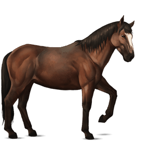 caballo de montar nokota bayo
