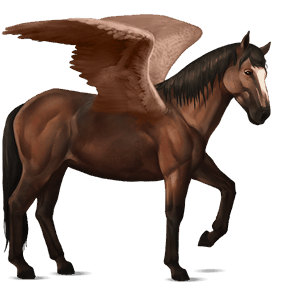 pegaso de montar berberisco isabelo