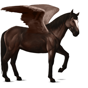 pegaso de montar nokota bayo tostado