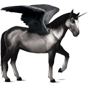 unicornio de montar alado kwpn bayo tostado