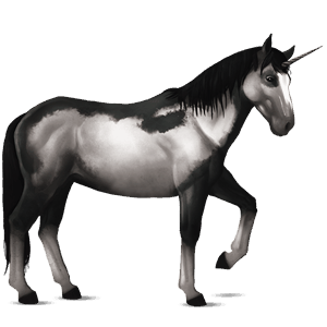 unicornio de montar nokota pío overo negro
