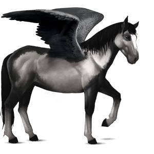 pegaso de montar pío overo negro