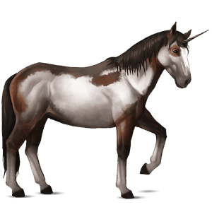 unicornio de montar nokota pío overo bayo