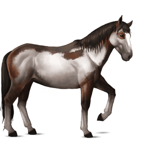caballo de montar azteca bayo
