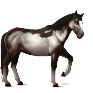 caballo de montar kwpn alazán tostado crines lava