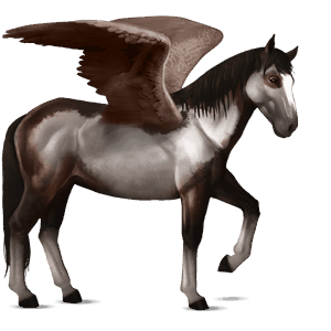 pegaso de montar nokota negro