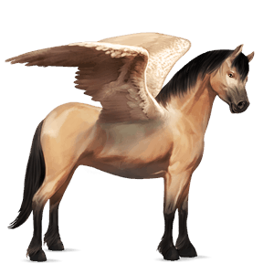 poni pegaso shetland bayo cereza