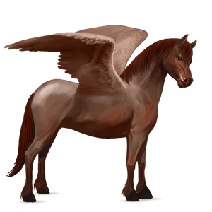 poni pegaso chilote overo