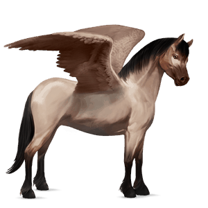 poni pegaso losino negro