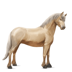 poni isabelo