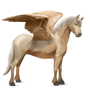 poni pegaso fjord gulblakk